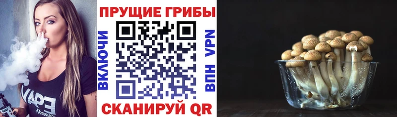Галлюциногенные грибы прущие грибы  Купить закладки  Отрадный 